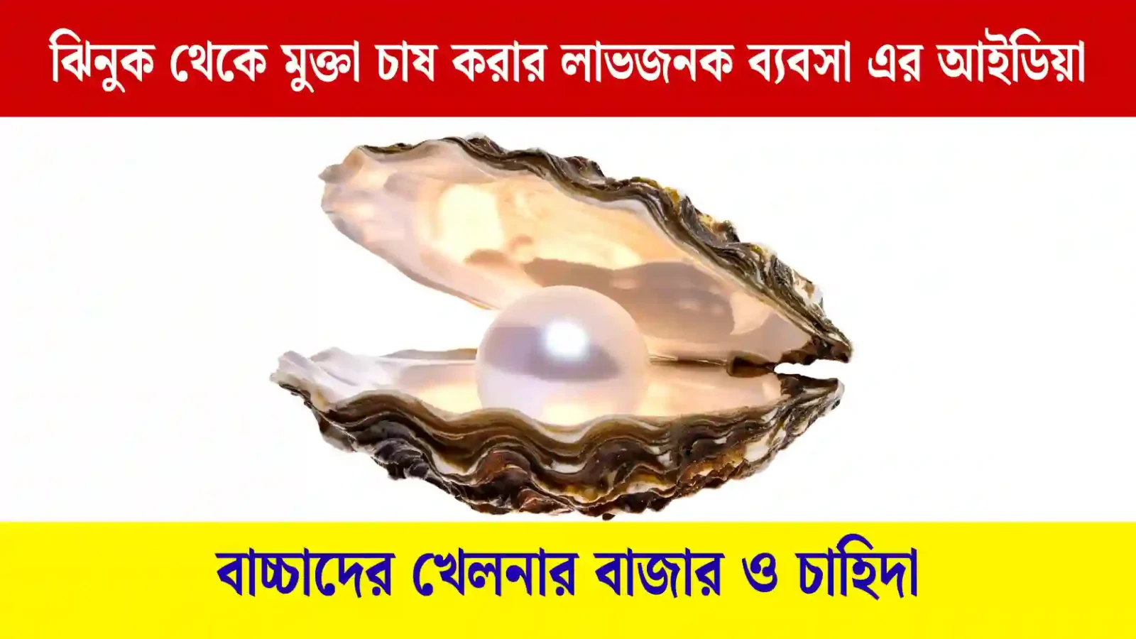 ঝিনুক থেকে মুক্তা চাষ করার লাভজনক ব্যবসা ২০২৬ এর আইডিয়া